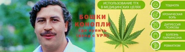 спайс Алексин